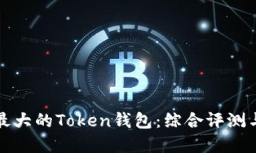 如何选择最大的Token钱包：综合评测与推荐指南