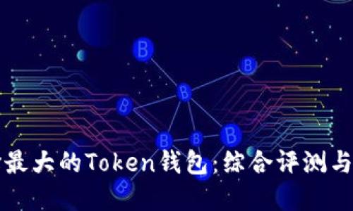 如何选择最大的Token钱包：综合评测与推荐指南