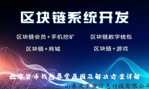 数字货币钱包异常原因及解决方案详解