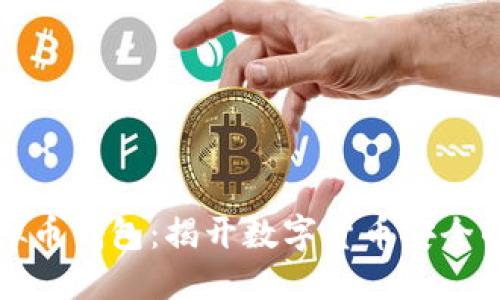 消失的虚拟币钱包：揭开数字货币安全的神秘面纱