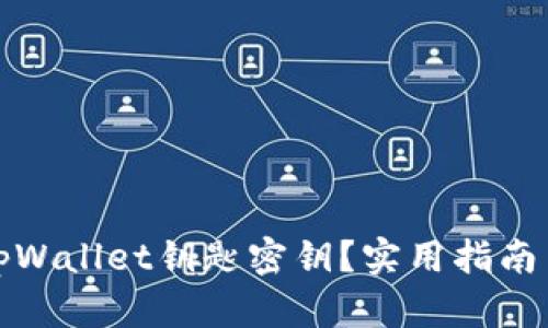 如何找回tpWallet钥匙密钥？实用指南与解决方案
