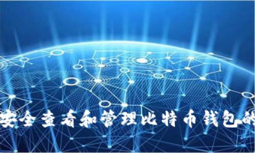 如何安全查看和管理比特币钱包的私钥