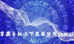 如何在苹果手机上下载并使用tpWallet指南