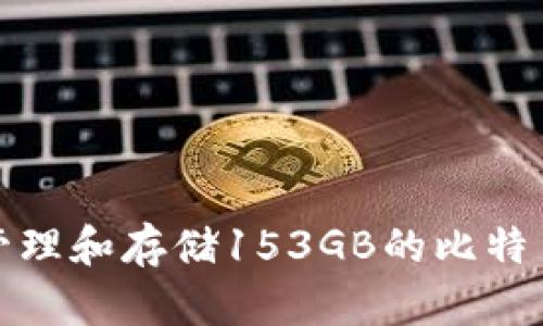 如何有效管理和存储153GB的比特币钱包数据