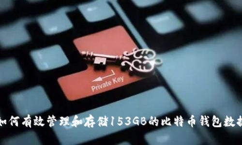 如何有效管理和存储153GB的比特币钱包数据