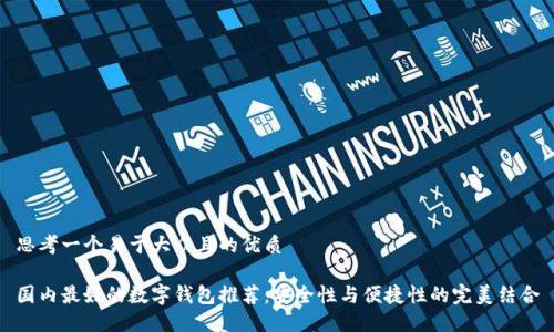 思考一个易于大众且的优质

国内最好的数字钱包推荐：安全性与便捷性的完美结合