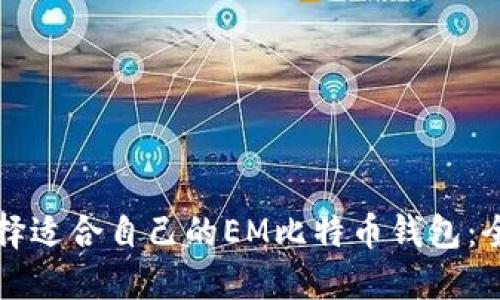 如何选择适合自己的EM比特币钱包：全面指南