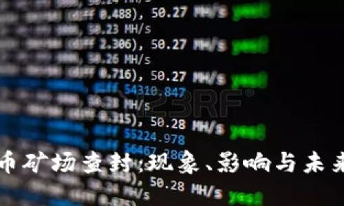 虚拟币矿场查封：现象、影响与未来趋势