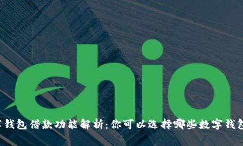 常见数字钱包借款功能解析：你可以选择哪些数字钱包来借钱？