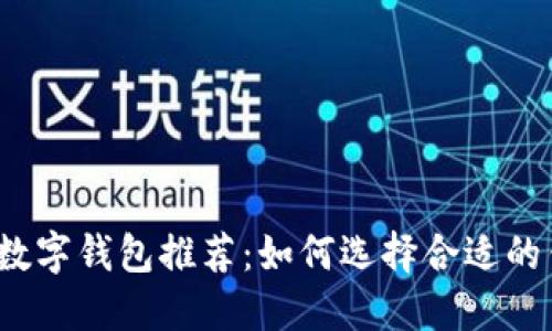 2023年最安全的数字钱包推荐：如何选择合适的钱包保障你的资产