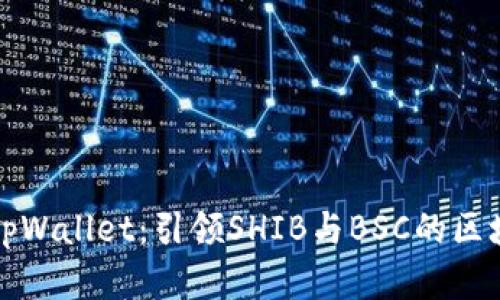 全面解析tpWallet：引领SHIB与BSC的区块链新纪元