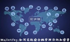 tpWalletfeg：如何高效安全地管理你的加密资产