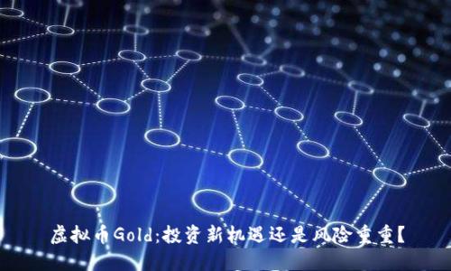 虚拟币Gold：投资新机遇还是风险重重？