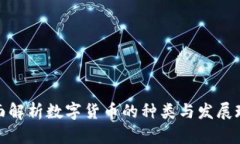 全面解析数字货币的种类与发展现状