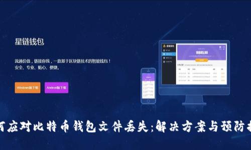 如何应对比特币钱包文件丢失：解决方案与预防措施
