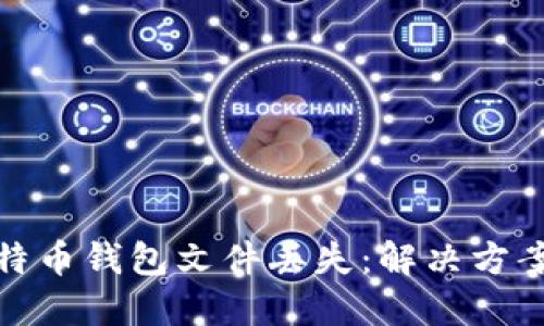 如何应对比特币钱包文件丢失：解决方案与预防措施