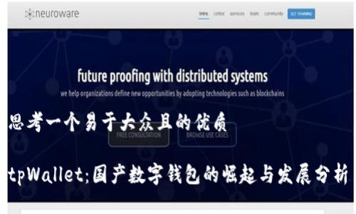思考一个易于大众且的优质

tpWallet：国产数字钱包的崛起与发展分析