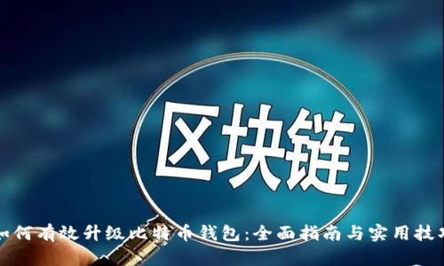 如何有效升级比特币钱包：全面指南与实用技巧