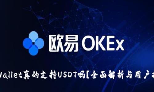 tpWallet真的支持USDT吗？全面解析与用户指南