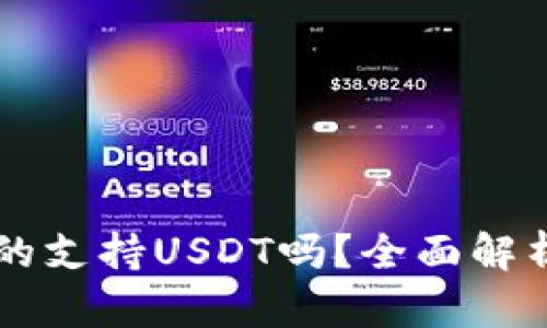 tpWallet真的支持USDT吗？全面解析与用户指南