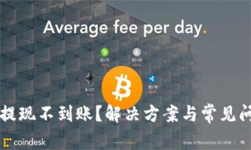 虚拟币提现不到账？解决方案与常见问题解析