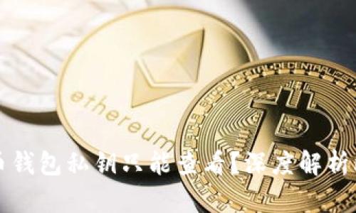 为什么比特币钱包私钥只能查看？深度解析比特币安全性
