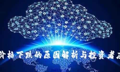 虚拟币价格下跌的原因解析与投资者应对策略