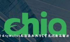 为什么tpWallet无法添加池子？常见问题及解决方案