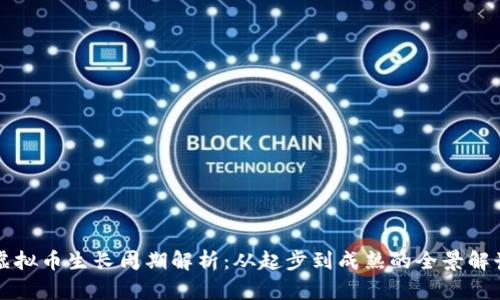 虚拟币生长周期解析：从起步到成熟的全景解读