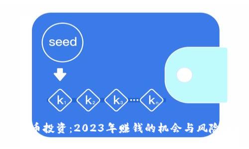 虚拟币投资：2023年赚钱的机会与风险详解
