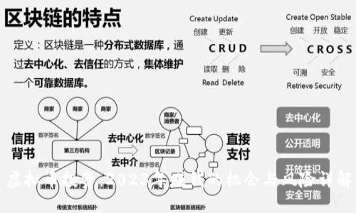 虚拟币投资：2023年赚钱的机会与风险详解