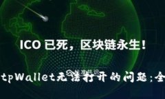 如何解决tpWallet无法打开的问题：全方位指南