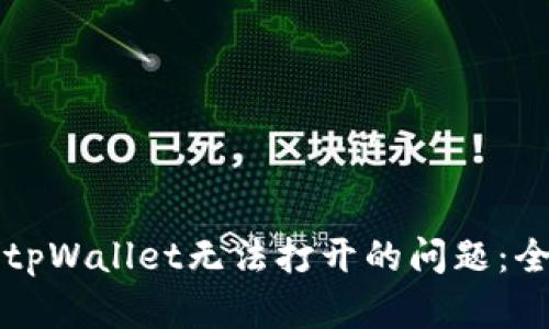 如何解决tpWallet无法打开的问题：全方位指南