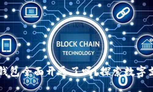中国数字钱包全面开通了吗？探索数字支付的未来