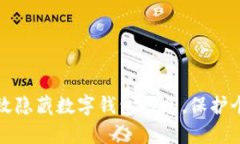 如何有效隐藏数字钱包信息，保护个人隐私