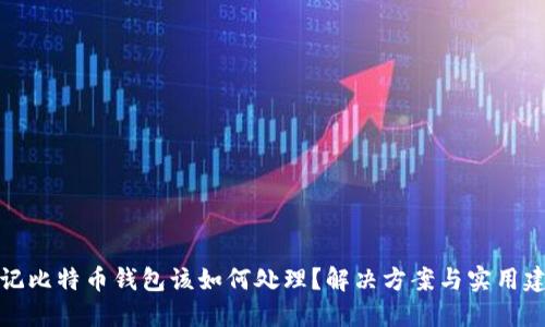 忘记比特币钱包该如何处理？解决方案与实用建议