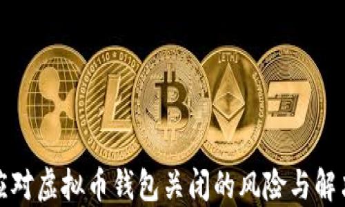 
如何应对虚拟币钱包关闭的风险与解决方案