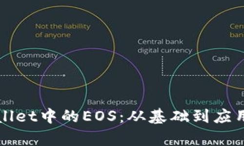 全面解析tpWallet中的EOS：从基础到应用的全方位指南
