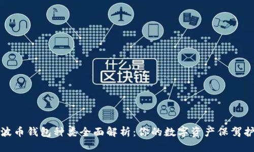 瑞波币钱包种类全面解析：你的数字资产保驾护航