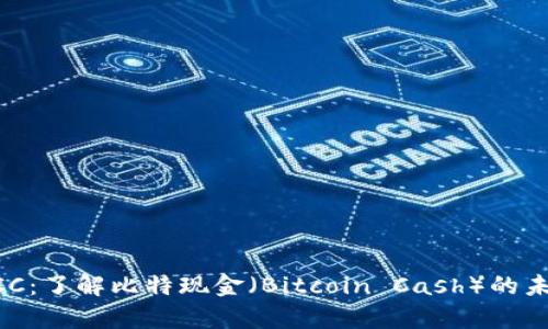 虚拟币BCC：了解比特现金（Bitcoin Cash）的未来与前景