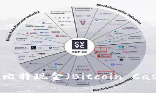虚拟币BCC：了解比特现金（Bitcoin Cash）的未来与前景