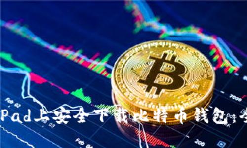如何在iPad上安全下载比特币钱包：全面指南