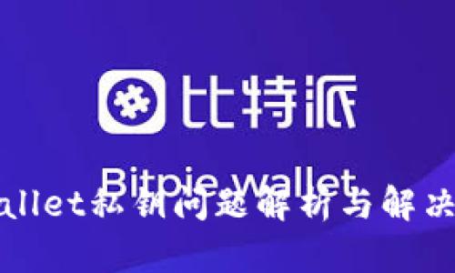 tpWallet私钥问题解析与解决方案