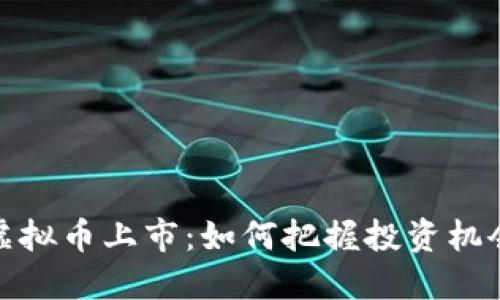 小蜜币虚拟币上市：如何把握投资机会与风险