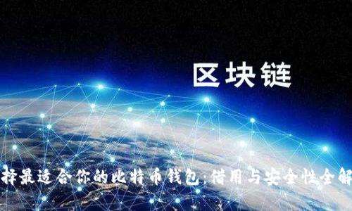选择最适合你的比特币钱包：借用与安全性全解析