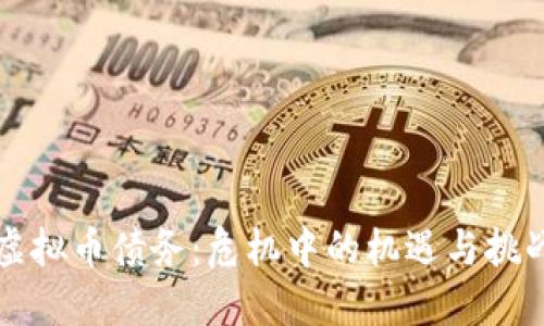 虚拟币债务：危机中的机遇与挑战