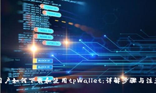 海外用户如何下载和使用tpWallet：详解步骤与注意事项