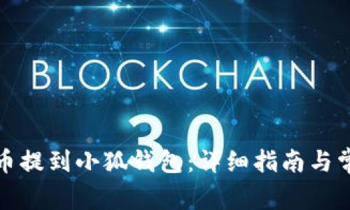 如何将狗狗币提到小狐钱包：详细指南与常见问题解答