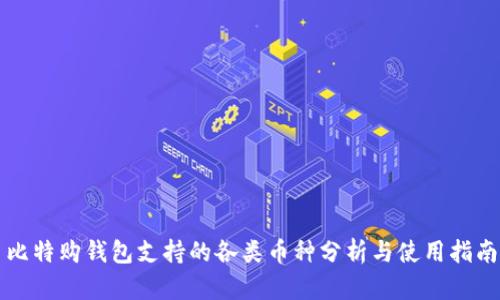 比特购钱包支持的各类币种分析与使用指南