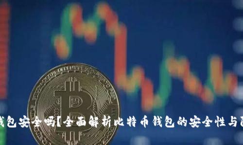 比特币钱包安全吗？全面解析比特币钱包的安全性与防护措施